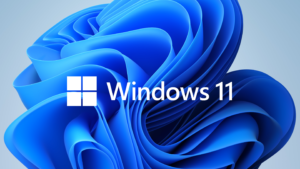 Read more about the article Windows 11: to upgrade or not to upgrade