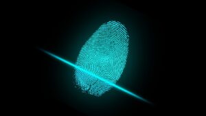 Read more about the article How to set up a Data Governance Framework – Part Two